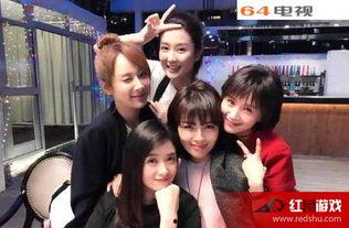 电视剧欢乐颂2在线观看,都市女性的情感与成长之旅