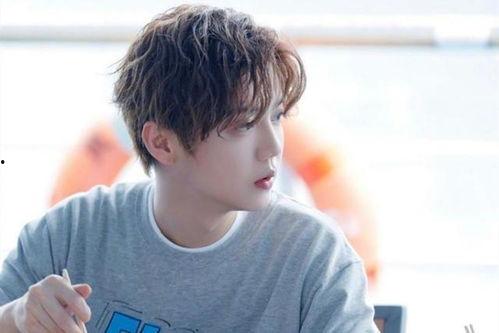 娱乐每日爆料鹿晗是谁啊,娱乐每日爆料中的焦点人物——鹿晗